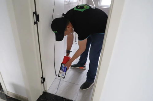 专业家政，品质保障——莒县美家美邦，您的贴心保洁专家