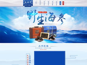 海参海鲜PSD设计素材 提升天猫淘宝页面视觉层次的专业工具
